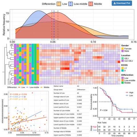Gmap Project Shen Lab